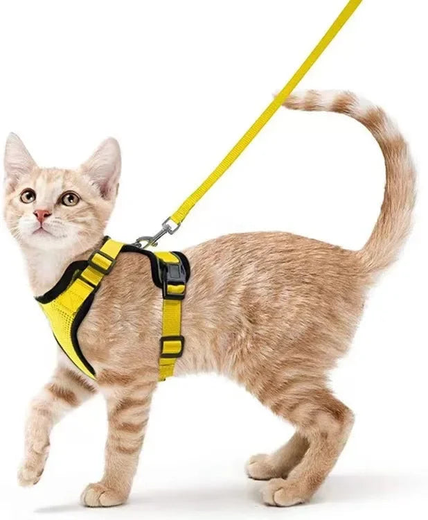 Cat Harness and Leash for Walking - VAILEO