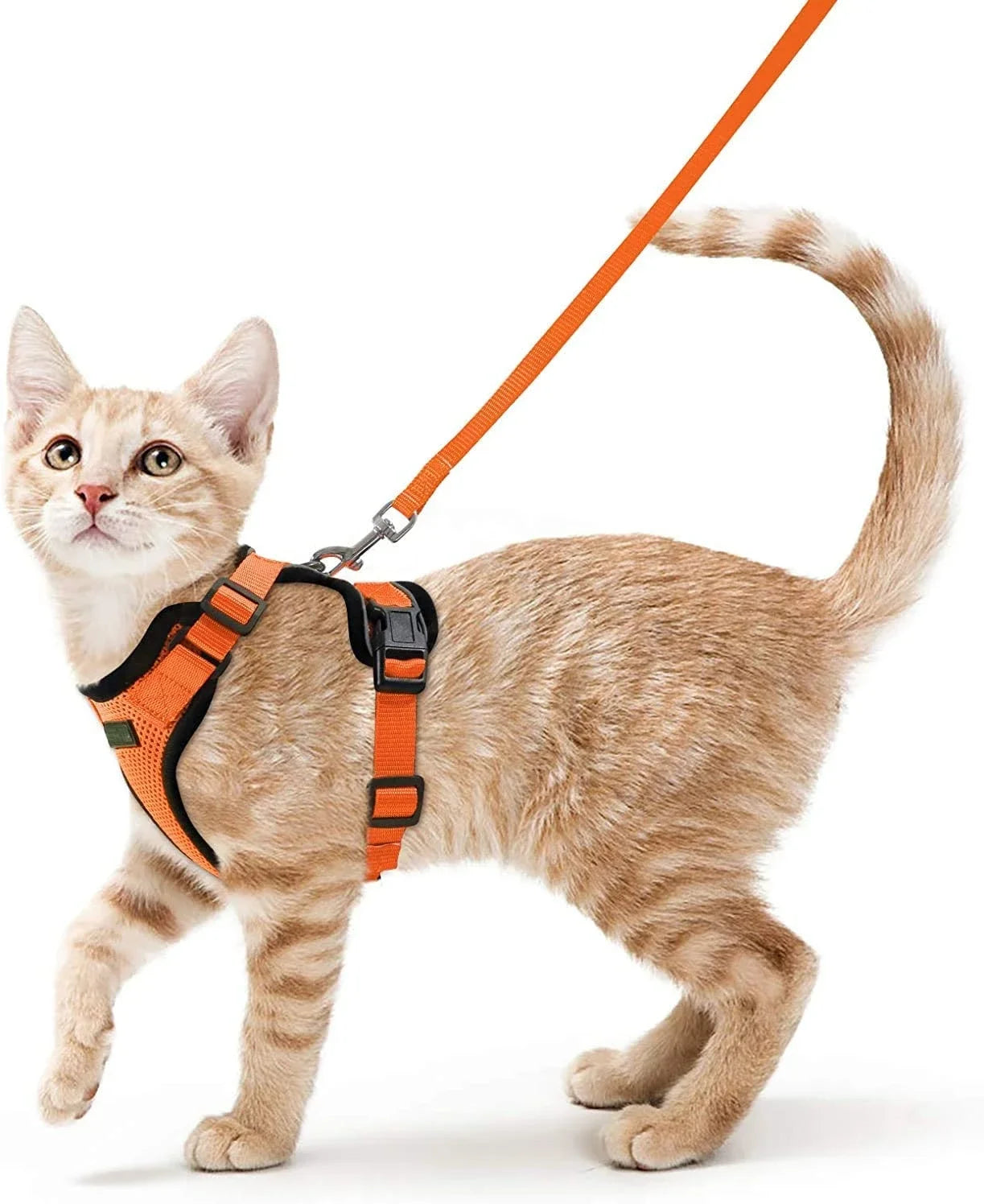 Cat Harness and Leash for Walking - VAILEO