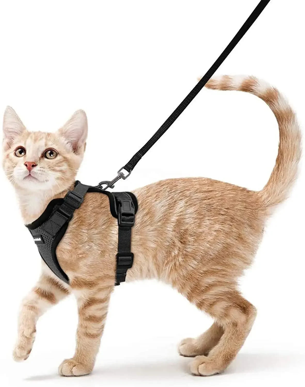 Cat Harness and Leash for Walking - VAILEO