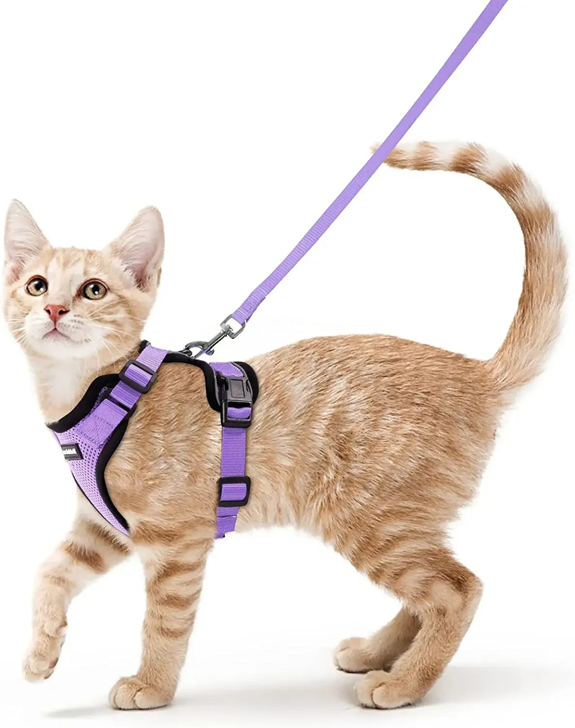 Cat Harness and Leash for Walking - VAILEO
