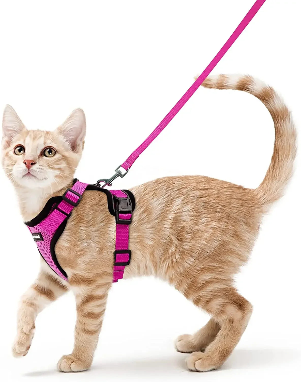 Cat Harness and Leash for Walking - VAILEO