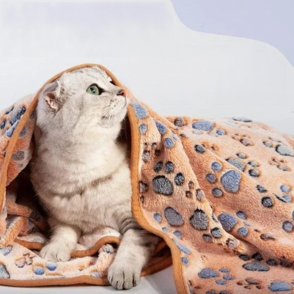 Soft Fluffy Blanket - VAILEO