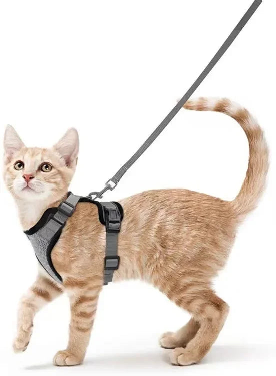 Cat Harness and Leash for Walking - VAILEO
