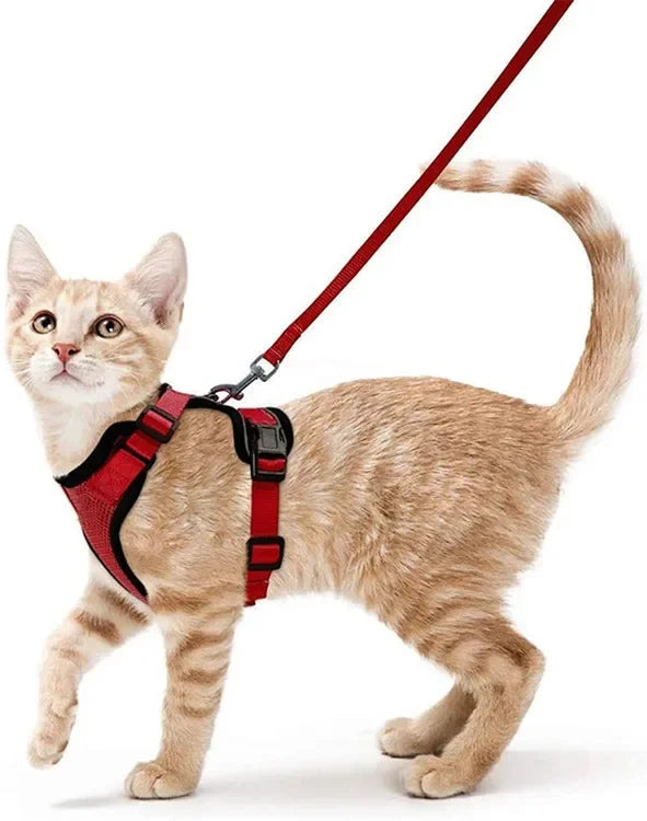 Cat Harness and Leash for Walking - VAILEO