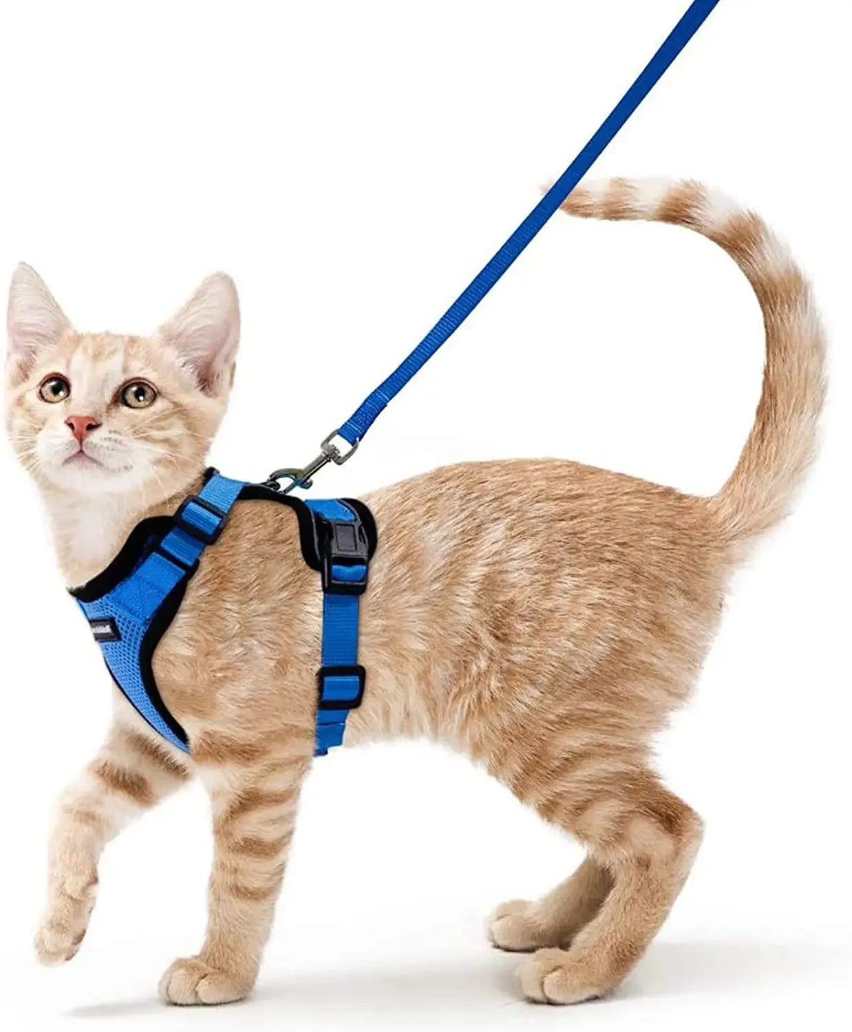 Cat Harness and Leash for Walking - VAILEO