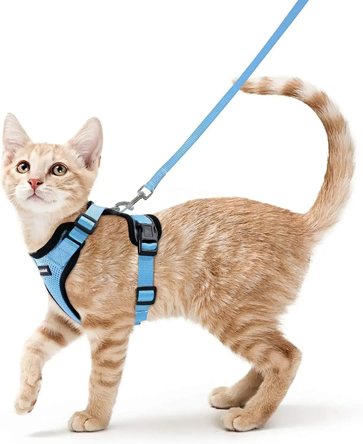 Cat Harness and Leash for Walking - VAILEO