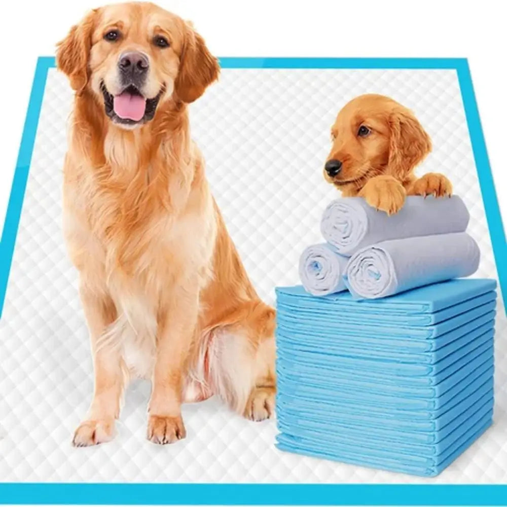 Pets Disposable Training Pads - VAILEO