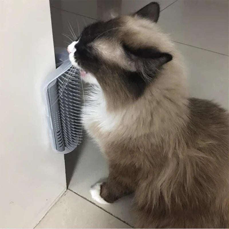 Massage Pet Brush Corner Cat Scrubber Comb Play Cat Toy - VAILEO