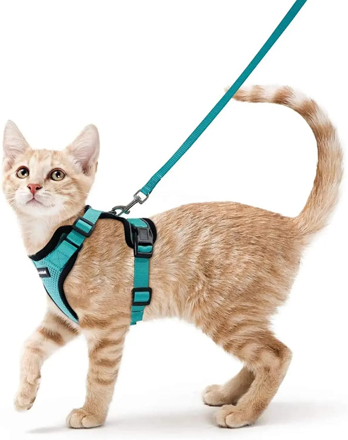 Cat Harness and Leash for Walking - VAILEO