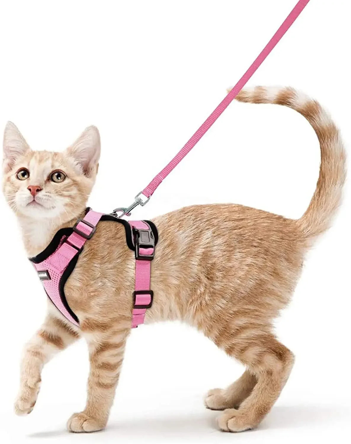Cat Harness and Leash for Walking - VAILEO