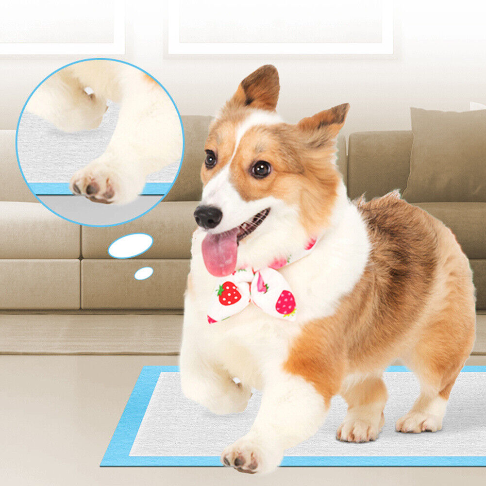 Pets Disposable Training Pads - VAILEO