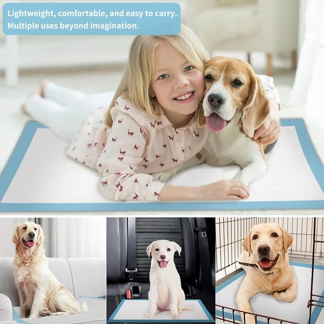Pets Disposable Training Pads - VAILEO