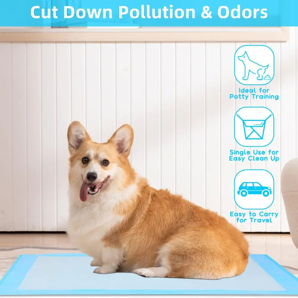 Pets Disposable Training Pads - VAILEO