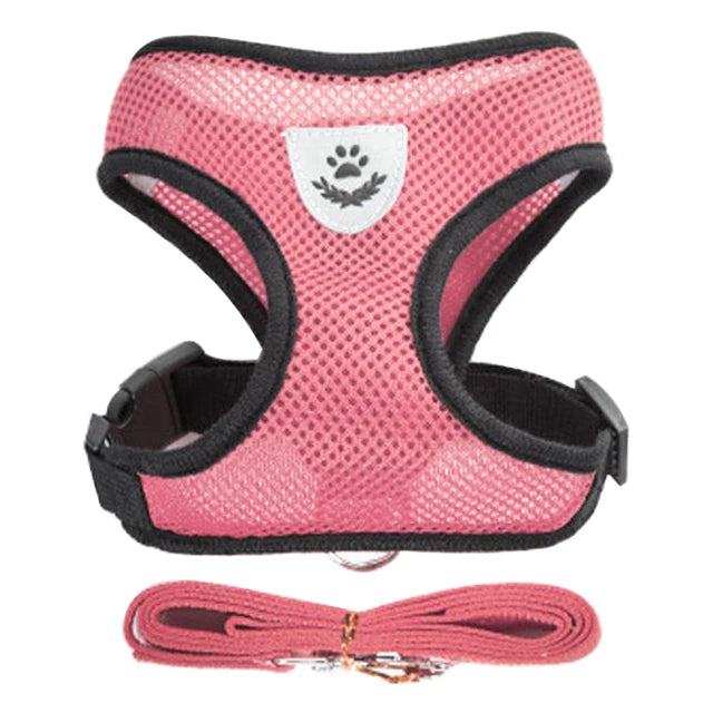 Walking Traction Rope Harness - VAILEO