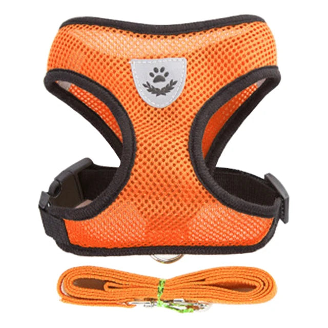 Walking Traction Rope Harness - VAILEO