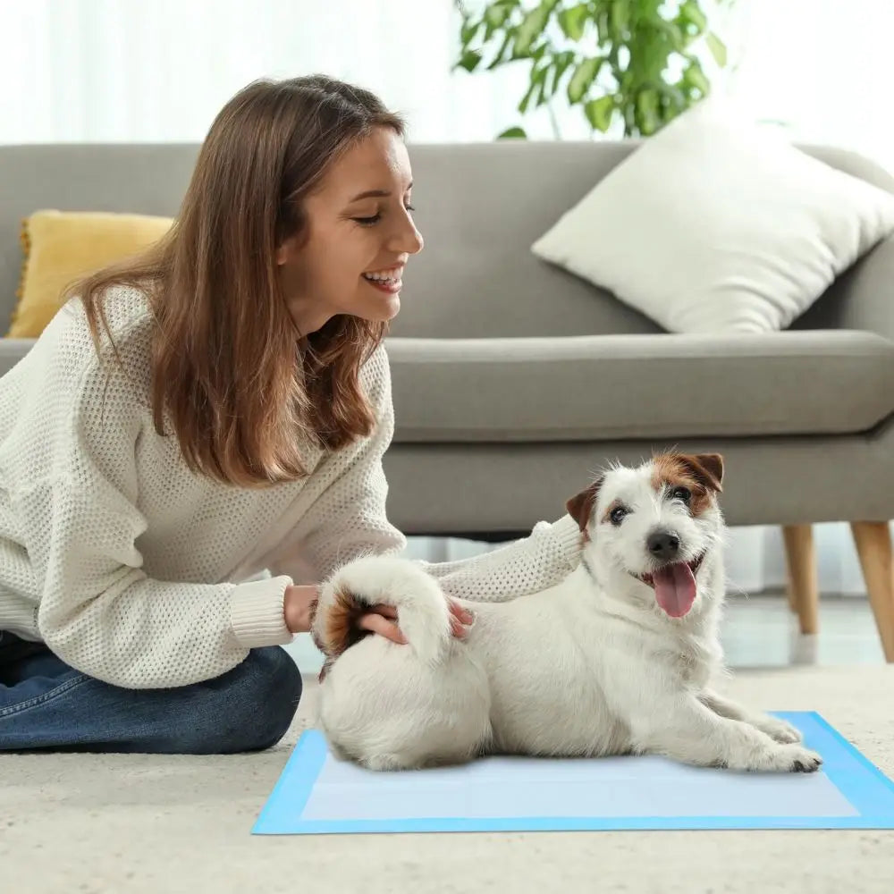 Pets Disposable Training Pads - VAILEO