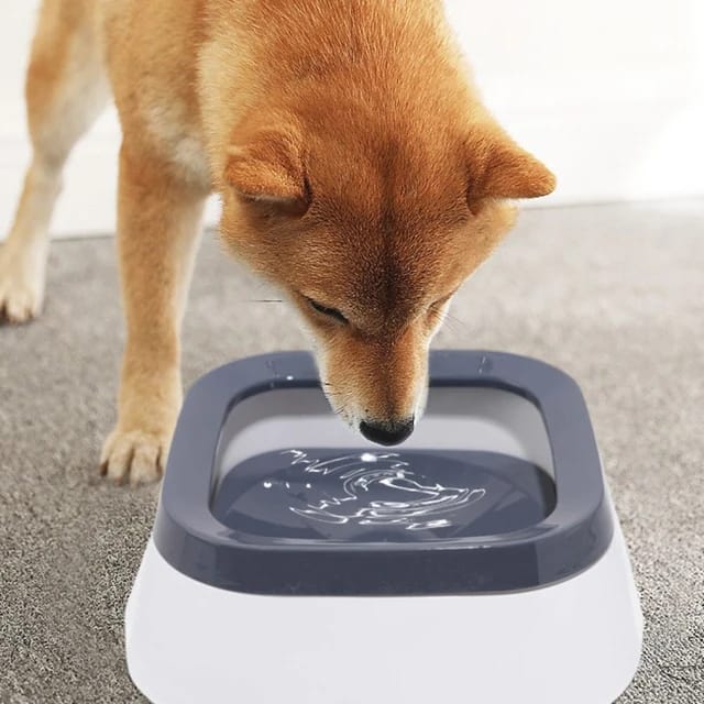 Dog Drinking Water Bowl - VAILEO