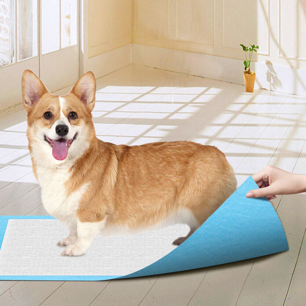 Pets Disposable Training Pads - VAILEO