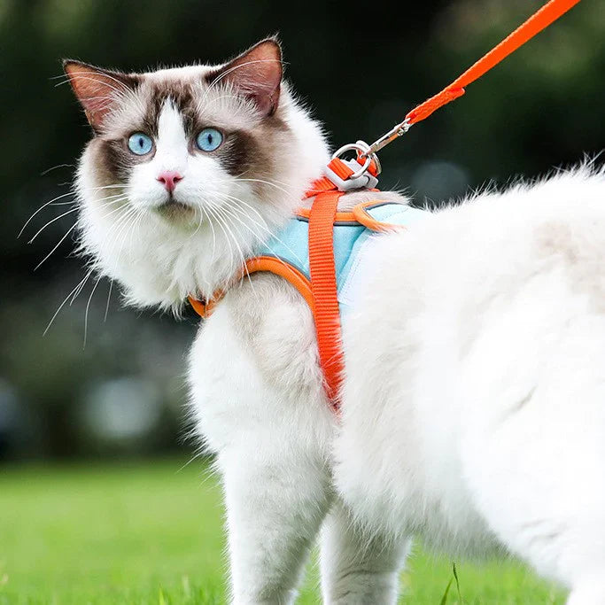 Cat Harness and Leash for Walking - VAILEO